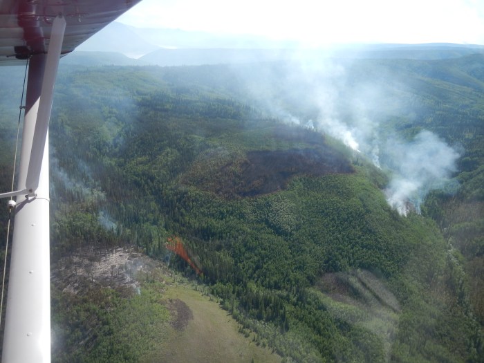 Several smokes rise above coniferous and hardwood trees.