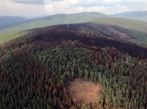The burn scar of the Caribou Creek Fire as seen on Saturday, July 13, 2019 in this photo taken by incident commander Thomas Krock as he flew off the fire. The bare circle in the bottom of the photo is a helicopter landing zone that was cut out by firefighters. Photo by Thomas Krock/Alaska Division of Forestry
