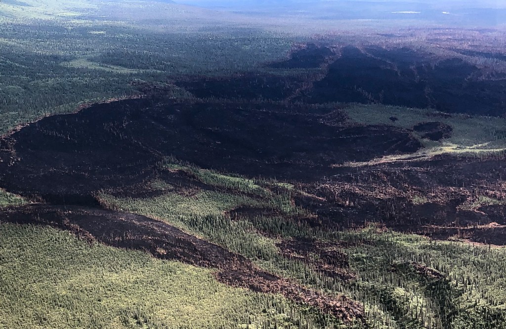 Burned area shows black with green vegetation surrounding.