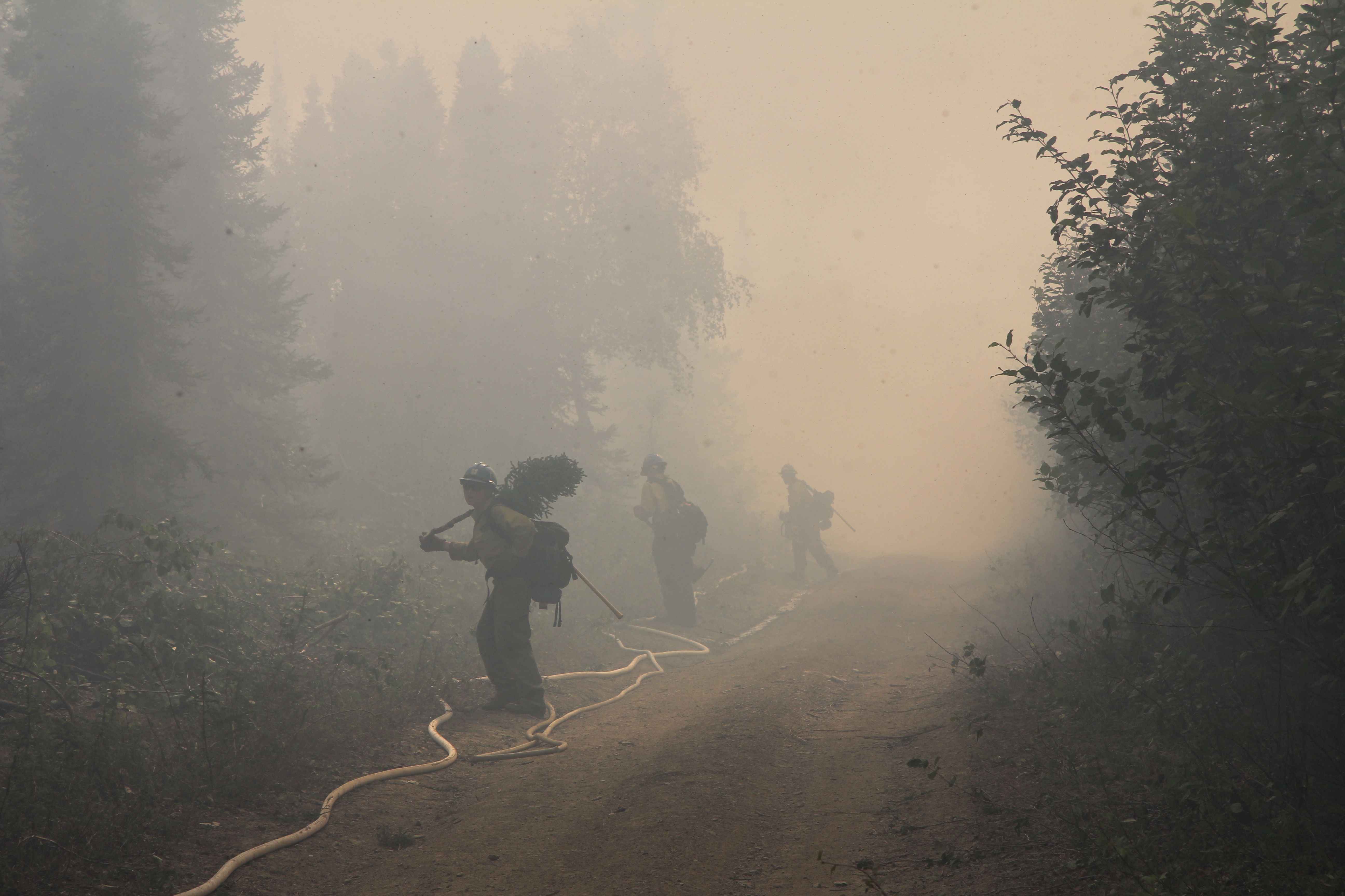 Fire crews are on their second day of holding the Shovel Creek Fire strategic firing operation. Photo credit: J Michael Johnson/PNW2