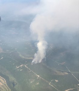 A photo of the Malaspina Fire (#451) as seen from the air on initial attack at 4:25 p.m. Photo by Tim Whitesell/Alaska Division of Forestry