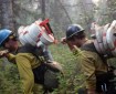 Two smokejumpers carry roles of hose and other supplies to construct containment lines on the Malaspina Fire on Sunday, July 7, 2019. Photo by Mike McMillan/Alaska Division of Forestry
