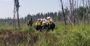 A squad of firefighters from Mat-Su Area Forestry walk into the M.L.K. Fire to begin mop up operations on Wednesday morning, July 3, 2019. Photo by Stephanie Bishop/Alaska Division of Forestry