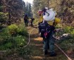 Firefighters from the Alaska Division of Forestry haul hose and other supplies down a trail to access and mop up the M.L.K. Fire in East Anchorage on Wednesday, July 3, 2019. Photo by Stephanie Bishop/Alaska Division of Forestry