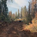 A bulldozer works to clear a control line around the 365-acre Montana Creek Fire on Friday, July 5, 2019. Photo by Josh Turnbow/UAF Nanooks Wildland Fire Crew