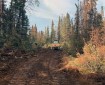 A bulldozer works to clear a control line around the 365-acre Montana Creek Fire on Friday, July 5, 2019. Photo by Josh Turnbow/UAF Nanooks Wildland Fire Crew