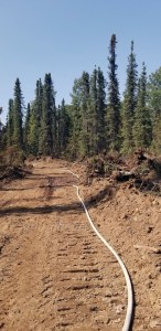 Hose line is stretched along the control line of the 367-acre Montana Creek Fire on Satruday, July 6, 2019. Photo by Stephanie Bishop/Alaska Division of Forestry