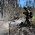 Firefighter Adam Paskvan of the UAF Nanooks Wildland Fire Crew hoses down a hot spot on the Montana Creek Fire on Saturday, July 6, 2019. Photo by Josh Turnbow/UAF Nanooks Wildland Fire Crew
