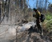Firefighter Adam Paskvan of the UAF Nanooks Wildland Fire Crew hoses down a hot spot on the Montana Creek Fire on Saturday, July 6, 2019. Photo by Josh Turnbow/UAF Nanooks Wildland Fire Crew