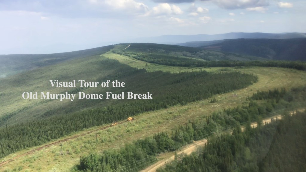 Old Murphy Dome Fuel Break