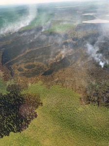 A photo of the Rainbow 2 Fire ataken at around 2 p.m. Monday, July 1, 2019 shows minimal fire behavior following water and BlazeTamer drops on Sunday. Photo by Mike Goyette/Alsaka Division of Forestry