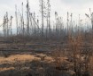 This picture of the Rainbow 2 Fire northwest of Delta Junction was taken from the Delta Logging Road on Tuesday, July 16, 2019. The fire cwas pushed north across the logging road on Thursday by strong winds. Photo by Mike Goyette/Alaska Division of Forestry