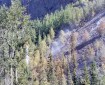 This photo shows the steep terrain the Crow Pass Fire is burning in near the Crow Pass Trail east of Anchorage in Chugach State Park. Photo by Mat-Su Area helitack