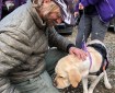 Live - McKinley Fire Video: Fire Crews Meet Therapy Dogs Before Shift