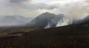 Smoke from a spot fire just off the perimeter of the Swan Lake Fire in the Mystery Creek drainage northwest of  Fuller Lake as seen from the air on Thursday, August 16, 2019. Fire personnel will be scouting that area today to see if there is a threat to the Fuller Lake trail. Photo by Brentwood Reid/Alaska Division of Forestry