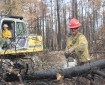 Sawyer/Firefighter Bryan Jackson of Forest Fire Type 6 Engine Crew Saws Rootplates From Fallen Trees Working With Excavator Operator Wes Stephens, photo credit Mike McMillian
