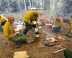 Photo of From left to right, firefighters Lakota Burwell, Troy Coberly, Charlie Pohlman, Sarah Nelson and Brian Pitts cook diner over a fire while on the Zitziana River Fire in June of 2018. Photo by Beth Ipsen, BLM AFS public affairs specialist