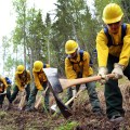 File photo of emergency firefighter candidates digging line during rookie training in the spring of 2018.