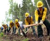 File photo of emergency firefighter candidates digging line during rookie training in the spring of 2018.