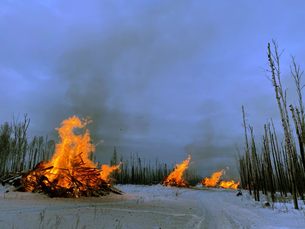 Large piles of woody debris on fire.