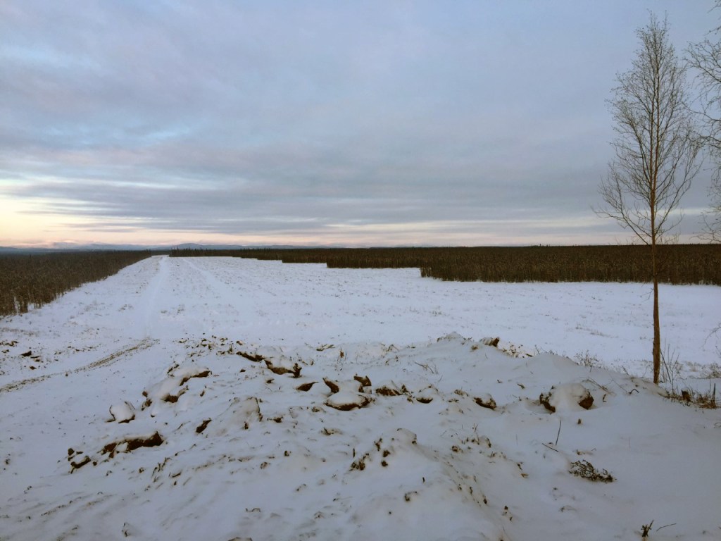 Large cleared land strip in between woods.