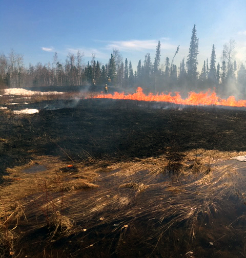 Photo of prescribed burning.