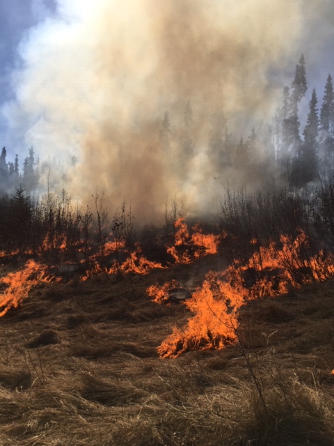 Photo of dead grass burning on military training lands.