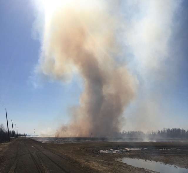 Photo of prescribed burning.