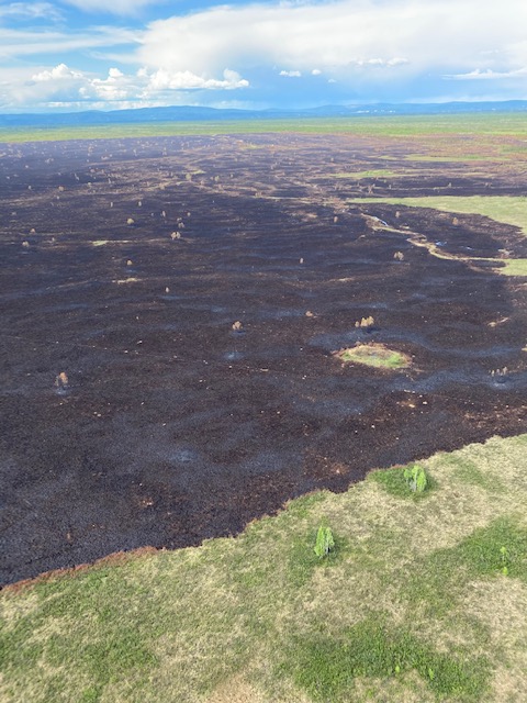 Photo of Clear Creek Fire from June 6, 2020. 