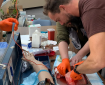 Firefighter stuffing gauze into a beef roast to simulate wound care.