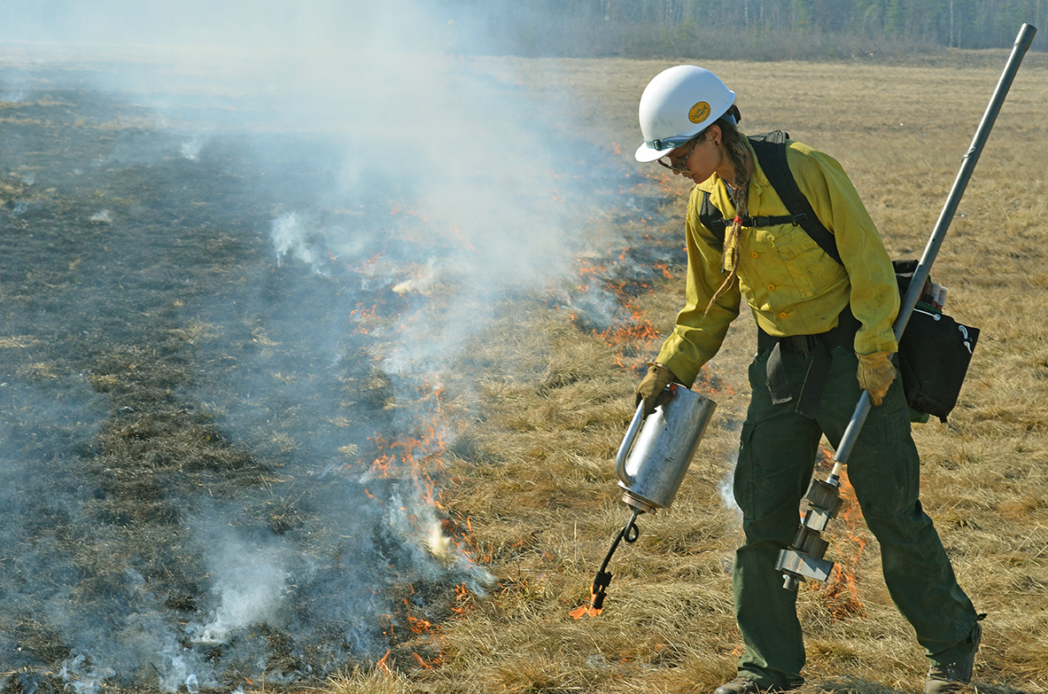A firefighter holding a long-handled flapper uses a drip torch to light grass on fire that is burning through a field of yellow, dead grass.