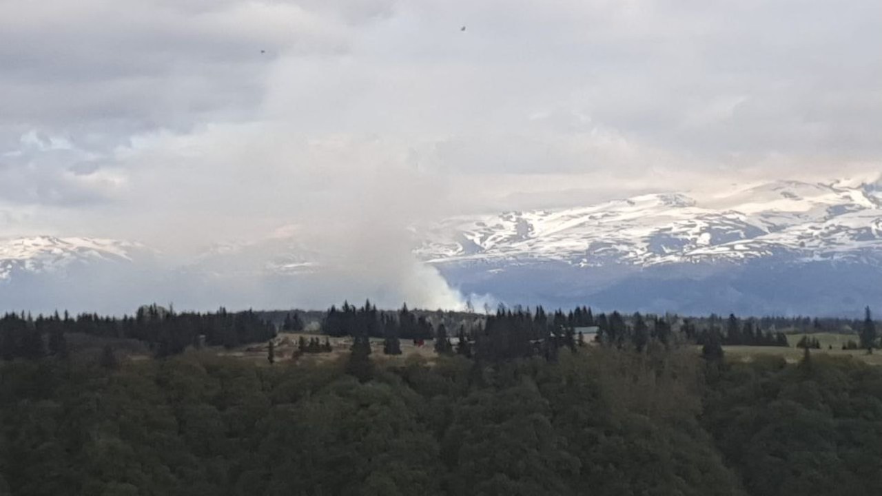 A smoke column rising from a forest with mountains in the background.