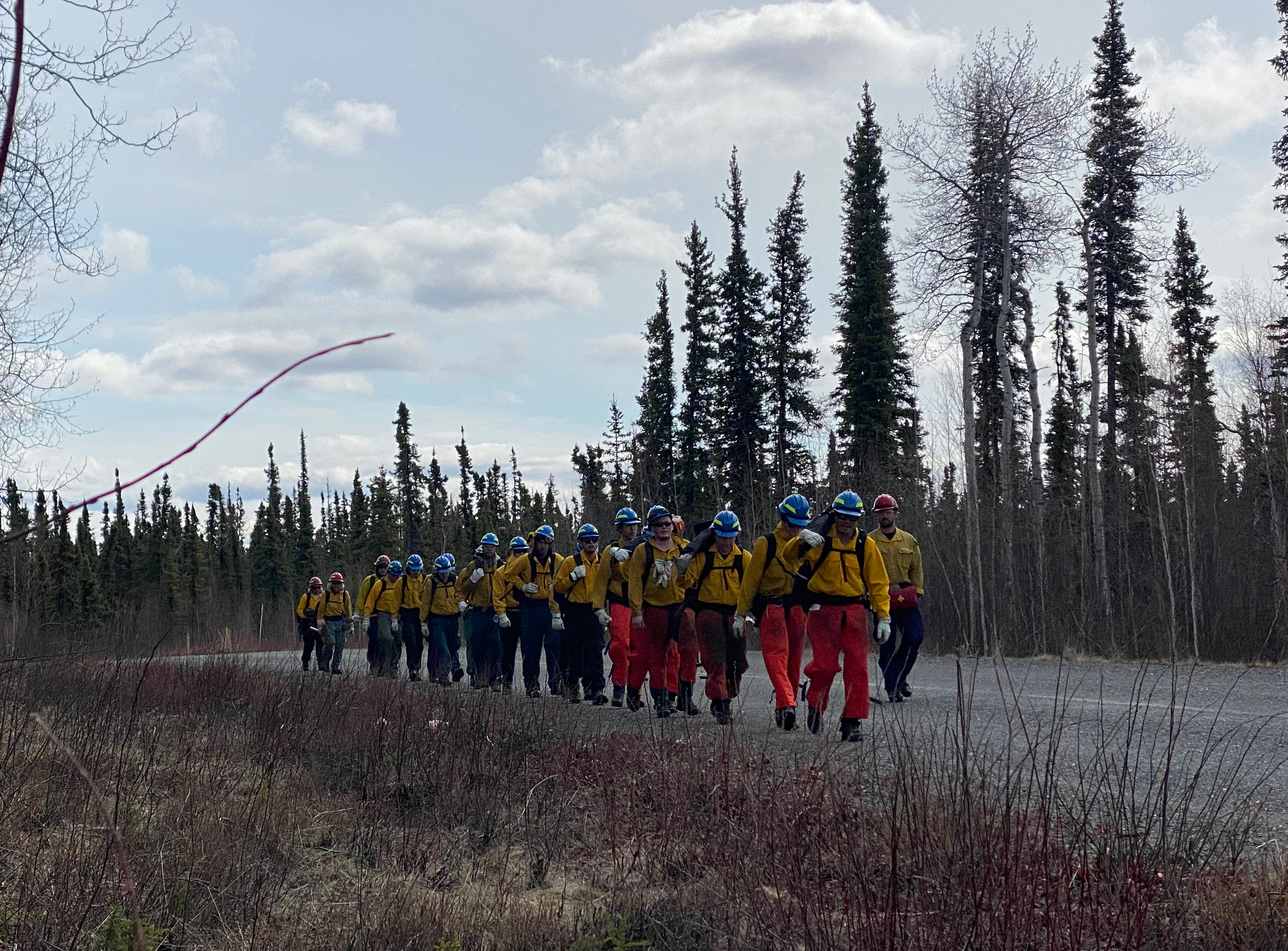 A line of firefighters walking down a gravel road cutting through a firest.