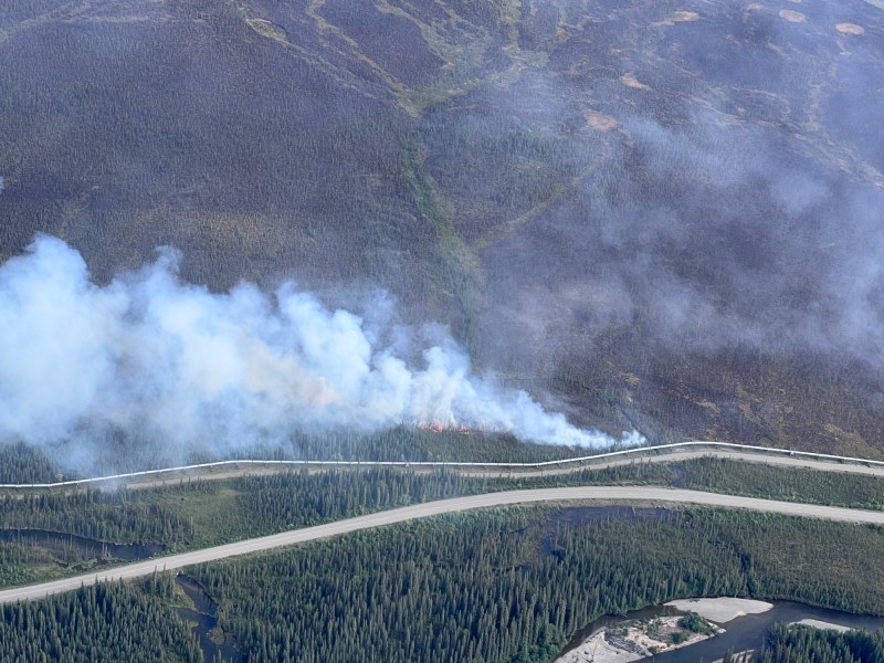 Aerial photo of green vegetation with white wildfire smoke rising into the air.