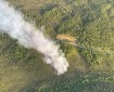 aerial view of a forest fire adjacent to a road