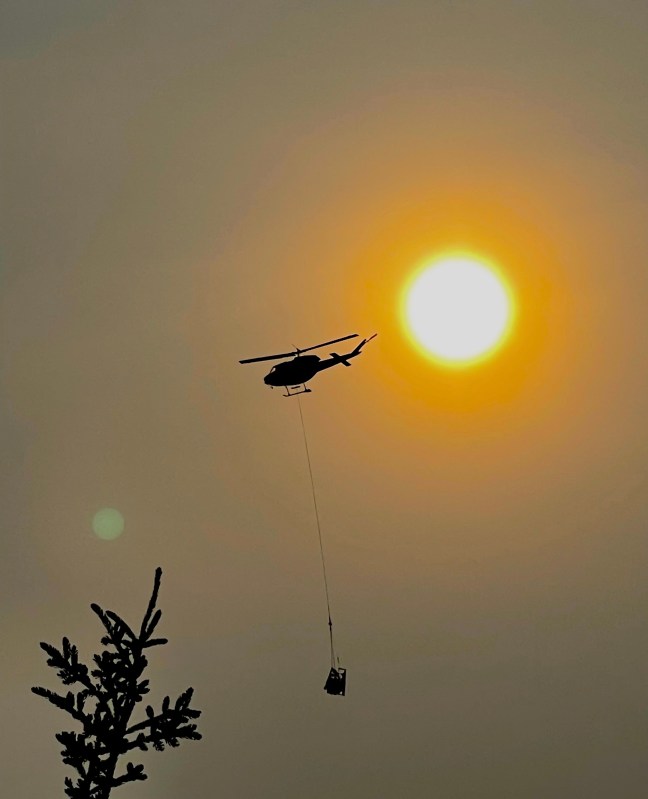 A silhouette of a helicopter flying with a bucket below it. There is a bright sun and a spruce tree in the photo.   
