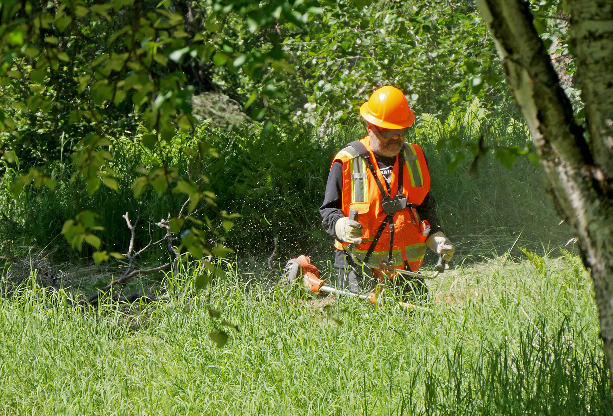 2022 East Fork Fire highlights importance of proactive firefighting ...