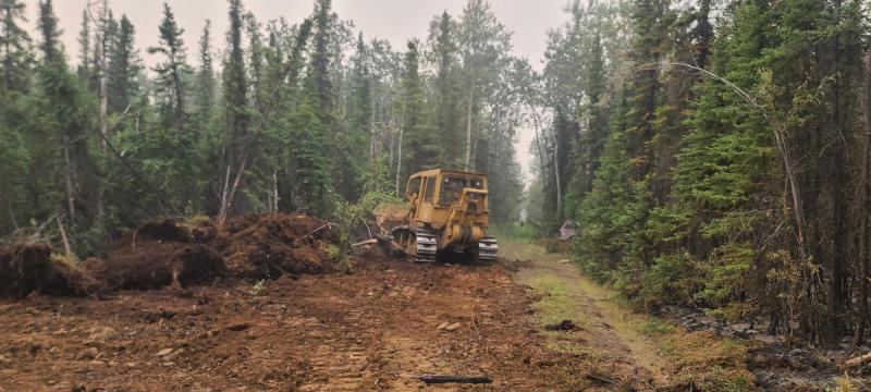 A yellow dozer pushes dirt surrounded by green trees