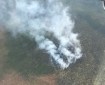 Aerial view of the Elephant Fire #561