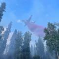 Aircraft flying above trees against a blue sky drops a red colored material known as retardant on (600) Old Ridge Trail Fire. Area has light smoke.