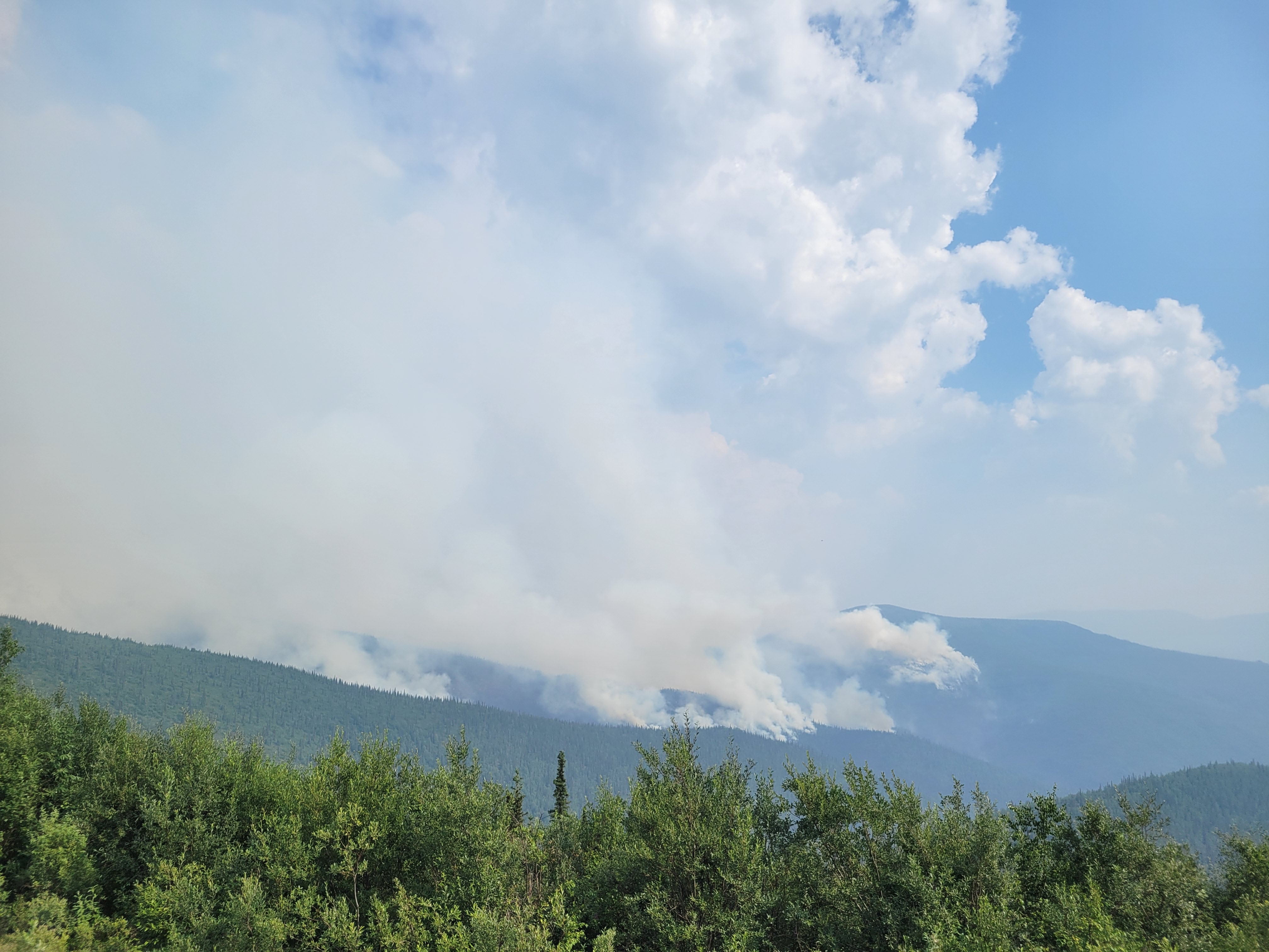 Photo of smoke from the Central Creek Fire taken on July 7, 2022. Smoke is rising from the mountains into a blue sky. Green vegetation is in the foreground.