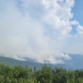 Photo of smoke from the Central Creek Fire taken on July 7, 2022. Smoke is rising from the mountains into a blue sky. Green vegetation is in the foreground.