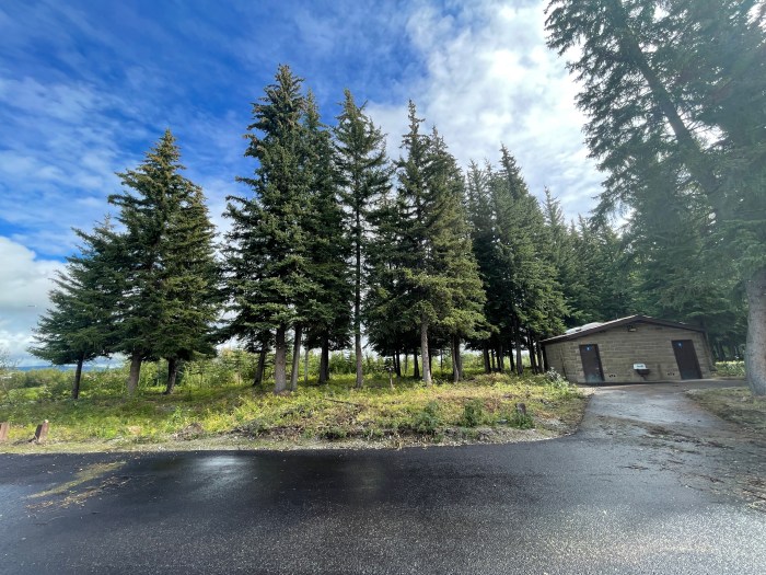 Picture shows a parking lot in foreground, bathrooms on far right, and several tall spruce trees with blue sky in the background. This pictures is taken after crews thinned out trees