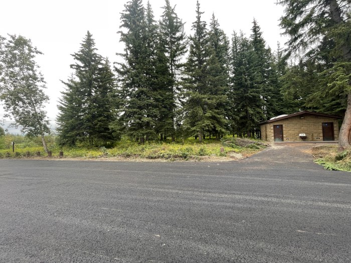 Picture shows a parking lot in foreground, bathrooms on far right, and several tall spruce trees with blue sky in the background. This pictures is taken before crews thinned out trees
