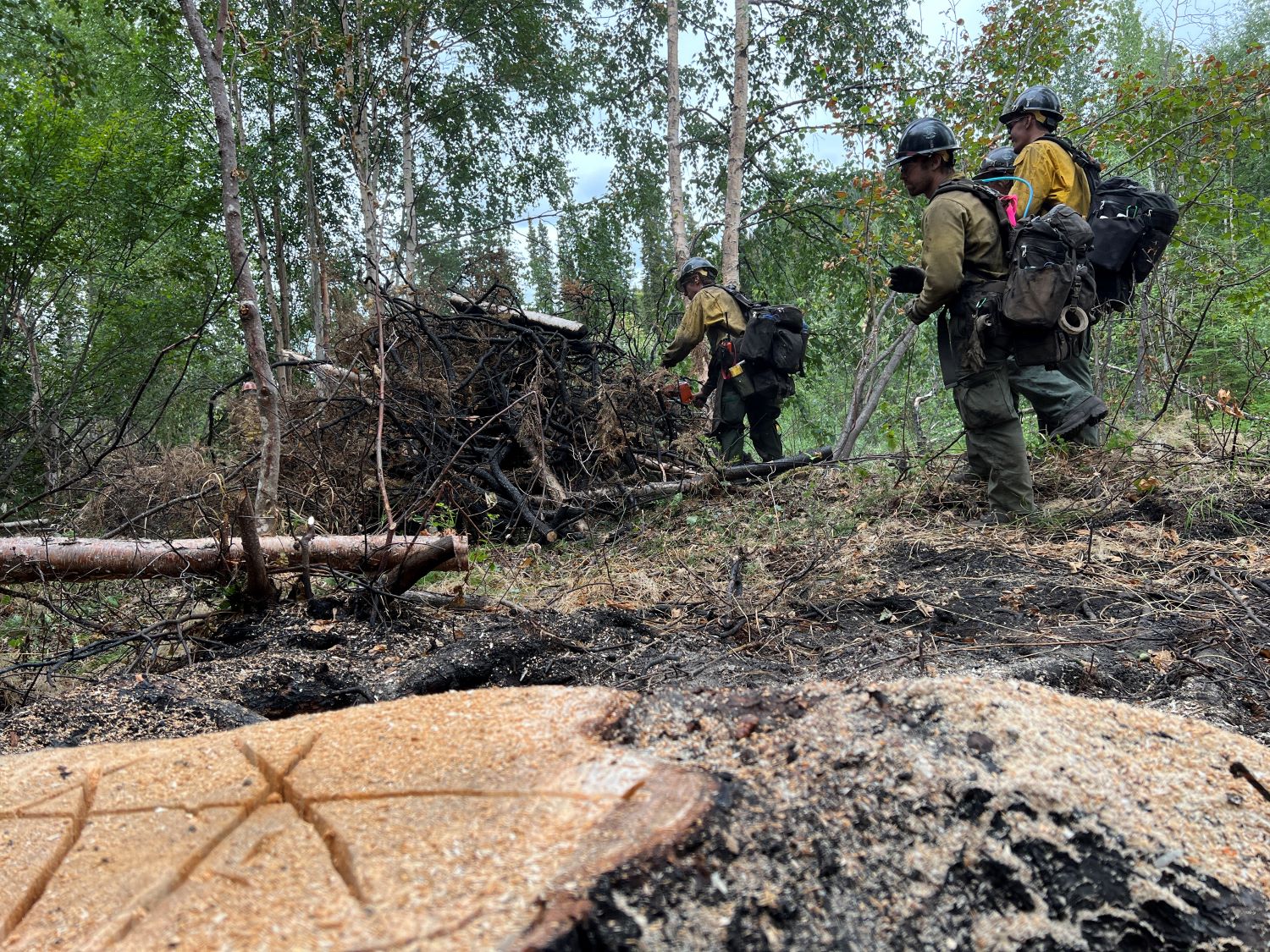 Three firefighters watch as another firefighter uses a saw on a pile of burnt tree branches.