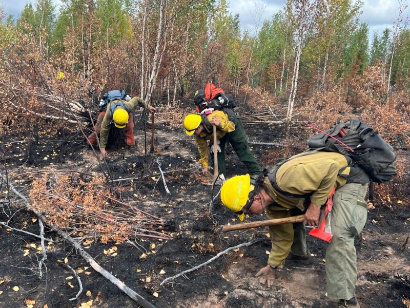 3 firefighters in green pants, yellow shirts, yellow hardhats, wearing a pack, holding different tools bend down to move their bare hand through the dirt to feel for heat.  Ground is black and brown from fire burn with a mix of trees that have green, golden or brown leaves.