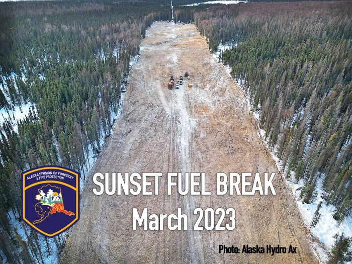 Aerial view of mechanical treatment. Photo credit: Todd Mears/ Alaska Hydro Ax