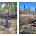 Picture of a burn barrel and debris burn that both escaped causing wildfire damage.