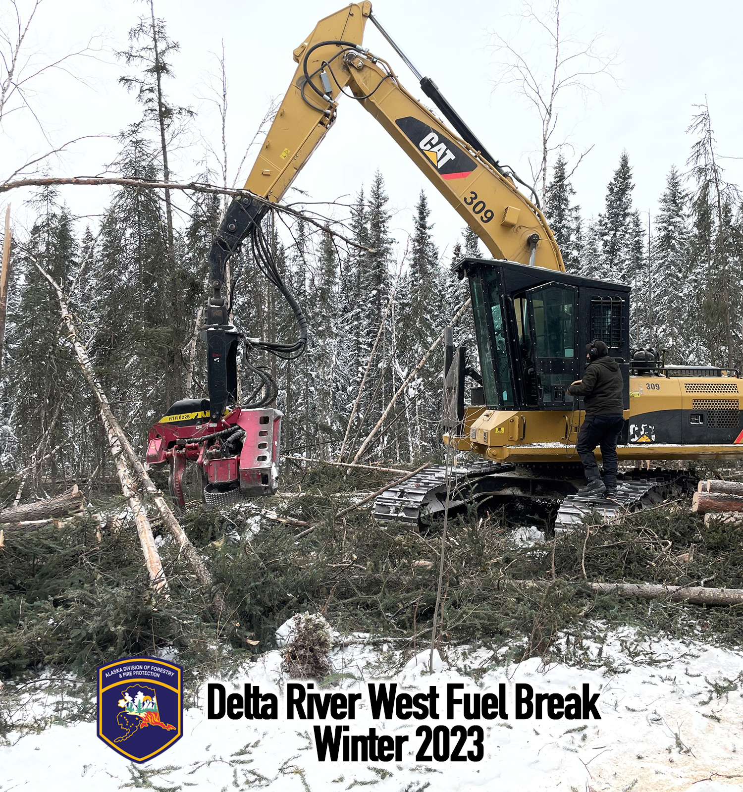 Machinery completes winter 2023 mastication.