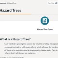 Power companies offer numerous was to easily report danger trees.